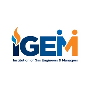 IGEM Company Logo