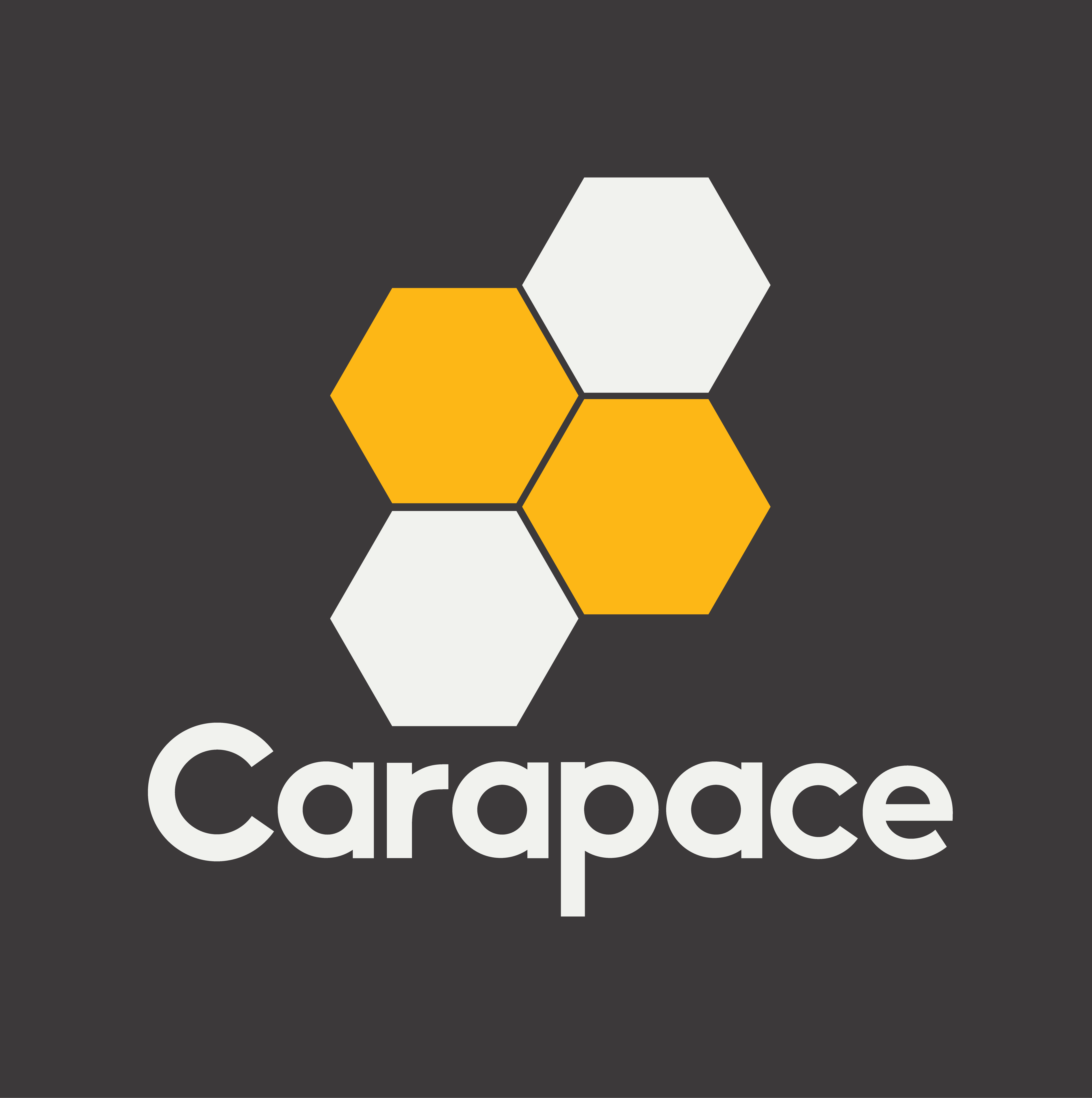 Carapace Slate Company Logo