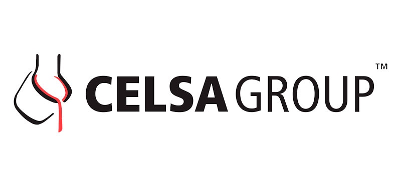 Celsa Group Logo Cwmni